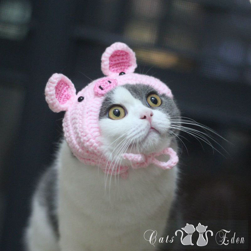 Pet cat pink pig hat head cover head saliva scarf bib handmade Peggy funny photo new product