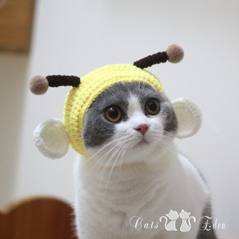 Pet cat bee cross-dress hat headgear hand-woven cute kitten shake sound photo props