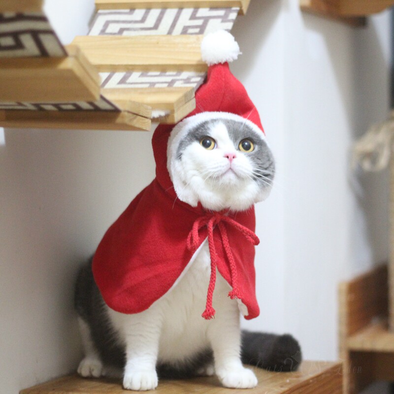 Pet cat Christmas Little Red Riding Hood shawl cloak cloak Chinese New Year festive festival dress up clothes Spring Festival New Year