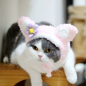 Домашняя мультяшная кошка Лина Белль, шляпа и капюшон, симпатичная переодевания интернет-знаменитостей, связанный вручную реквизит для фотографий