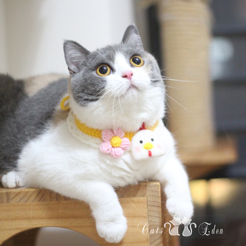 Pet kitty Angry Birds Frogs Adorable Items Rings Fur Thread Handcrafted Dog Ornaments Hanging on video loaded with video loading-Taobao