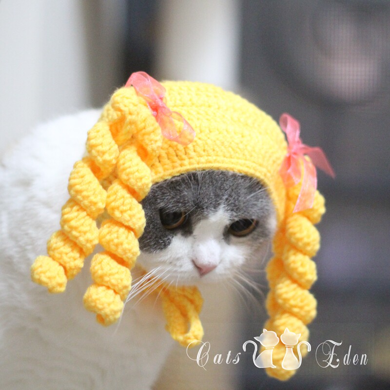 Kitty Korean version of cute curly hair hat funny to shake the sound selling cute pet braid hand woven head headgear-Taobao