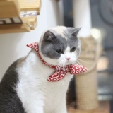 Японский шарф, галстук-бабочка, милый чокер, аксессуар, популярно в интернете