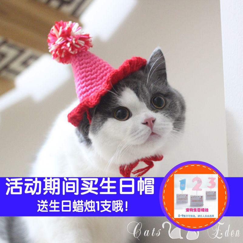 Pet Birthday Hat Crown Dog Dog Cat Headdress Accessories Bow Tie Head Cover Festival Party Hat Photo Props