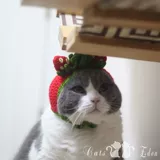 Шерстяная плетеная клубника, шапка, «сделай сам», домашний питомец, кот