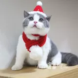 Шапка, шарф, накидка, плащ, милый комплект, наряжаться