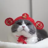 可爱猫 Шерстяная новогодняя шапка ручной работы Paradise Pet Teddy Cats and Dogs