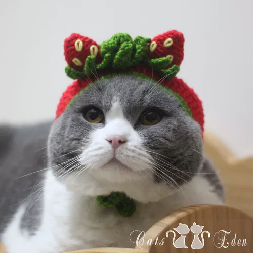 Шерстяная плетеная клубника, шапка, DIY, домашний питомец, кот