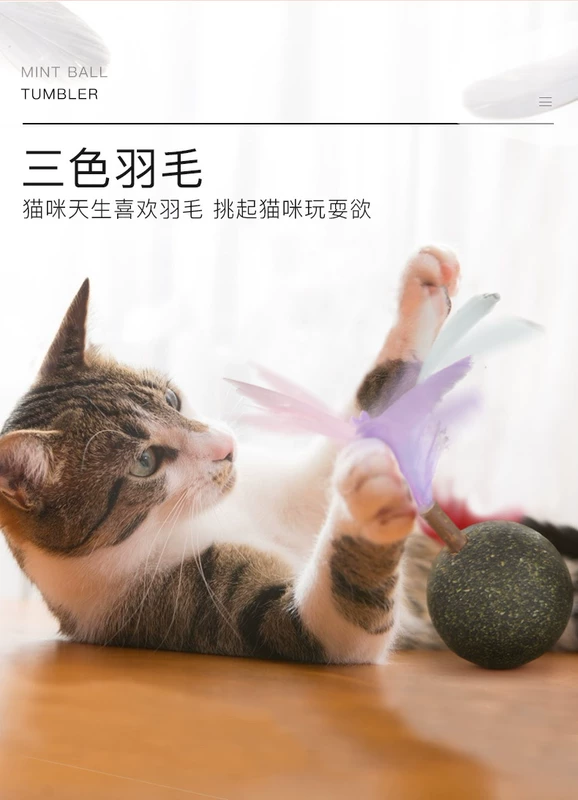 Mèo đồ chơi quả bóng bạc hà con mèo buồn cười dính lông mèo vui nhộn tạo tác mèo tự này mèo con mèo con đồ chơi vật nuôi - Mèo / Chó Đồ chơi