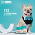 Weiss dê sữa bột con chó con Teddy Fadou chó con sơ sinh chó mèo điều hòa bảo vệ đường tiêu hóa - Cat / Dog Health bổ sung