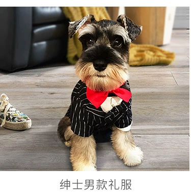 Puppy Dog Vest mùa hè Thin Teddy Bear Xiong Bomei Biến hình nhỏ Quần áo Puppy nhỏ Pet Dress Summer - Quần áo & phụ kiện thú cưng