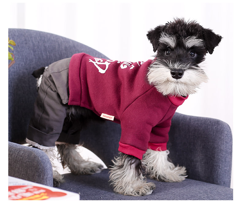 Quần áo chó dày quần áo mùa thu và mùa đông schnauzer taidibi gấu chihuahua Bomei chó con chó nhỏ quần áo thú cưng - Quần áo & phụ kiện thú cưng quan ao cho meo