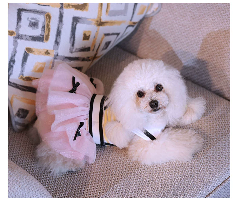 Puppy dog ​​quần áo công chúa fluffy váy Teddy gấu Xiong Bomei con chó Yorkshire mùa hè đầm mỏng thú cưng quần áo - Quần áo & phụ kiện thú cưng áo dành cho chó con	