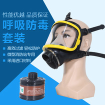  Gas mask Biochemical spray paint Pesticide ammonia full-face protective mask Self-priming filter mask Gas full-face mask