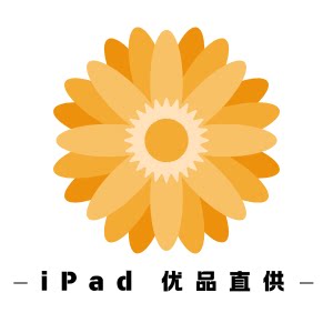 iPad 优品直供