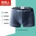 Quần boxer nam cực nam cotton 5 eo trẻ trung gợi cảm đồ lót nam U lồi màu rắn mùa hè mỏng thoáng khí