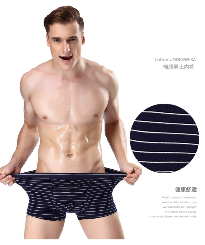 Nam cực nam đồ lót 4 cotton thoáng khí mid-up thanh niên kích thước lớn quần short nam boxer quần short boxer gợi cảm - Nam giới