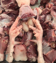 Shandong Zaozhuang spicy chicken Tengzhou Taierzhuang authentic running mountain husband chicken quality crimson whole chicken about three and a half pounds