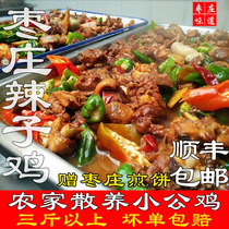 One year little rooster Shandong Zaozhuang spicy chicken food Cooked food instant fried chicken Tengzhou Linyi specialty Taierzhuang