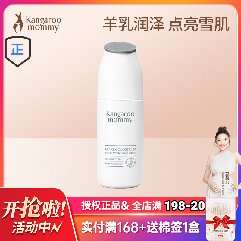Kangaroo Mommy Mother Pregnant Lactation Maternal Lactation Mammal Breastness Breastness Breastfeeding
