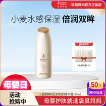 Kangaroo Mom Pregnancy Eye Cream Wheat Hydrating Eye Essence 30g Anti-wrinkle fine lines and dark circles skin care product