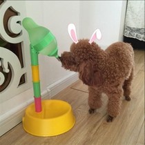 Dog cat Automatic feeder Puppy Drinking water Drink head Vertical pet feeder teddy Drinking water Water Kettle