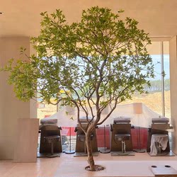 Artificial Borneol Bionic Green Plant High-End Light Luxury Living Room Ornament Large Floor-Standing Potted Indoor Hanging Bell Fake Flower Tree