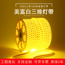 220v outdoor lighting line light led super bright waterproof light strip exterior wall basement tower crane lighting engineering light strip