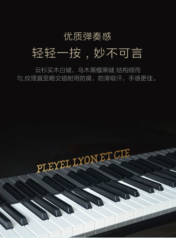 Pleyer Lyon PY-M4 nhập khẩu đàn piano dọc nhà cho người mới bắt đầu chơi 88 phím bán chuyên nghiệp đàn piano nhỏ
