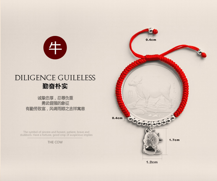 Bracelet de cheville Couple OTHER   en Argenterie - Ref 3104727 Image 15