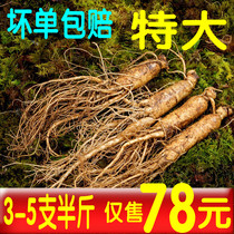 (Extra large 3-5 root and half jin) fresh ginseng Changbai Mountain with soil fresh wild ginseng pruning 250g sparkling wine