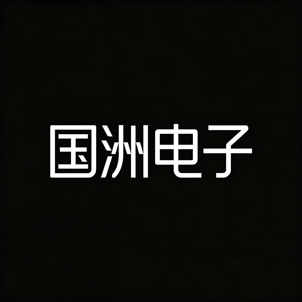 国洲电子