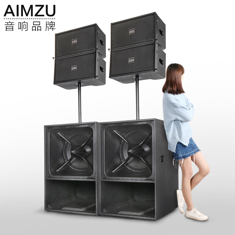speaker 10 inch array