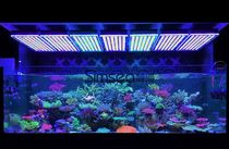 Orphek Beast Atlantik V4 LED Coral Aquarium Lighting Lamp