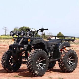 沙滩越野摩托车 大型户外陆地爬坡越野车 200cc四轮全地形沙滩车