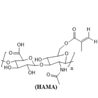 Light-Curing Gel Methacrylate-Hyaluronic Acid Hama Gelatin Gelma Silma with Initiator