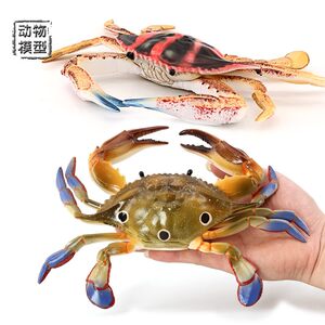 Simulated Marine Animal Hermit Crab Model Toy Seafood Underwater World Solid Children's Cognitive Gift Model