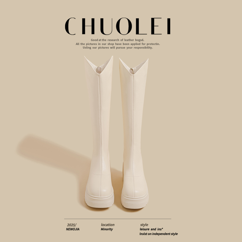 Spring New Versatile Thick-Soled V-Cut Riding Boots for Women, White Slimming Platform Zipper Over-The-Knee Long Boots