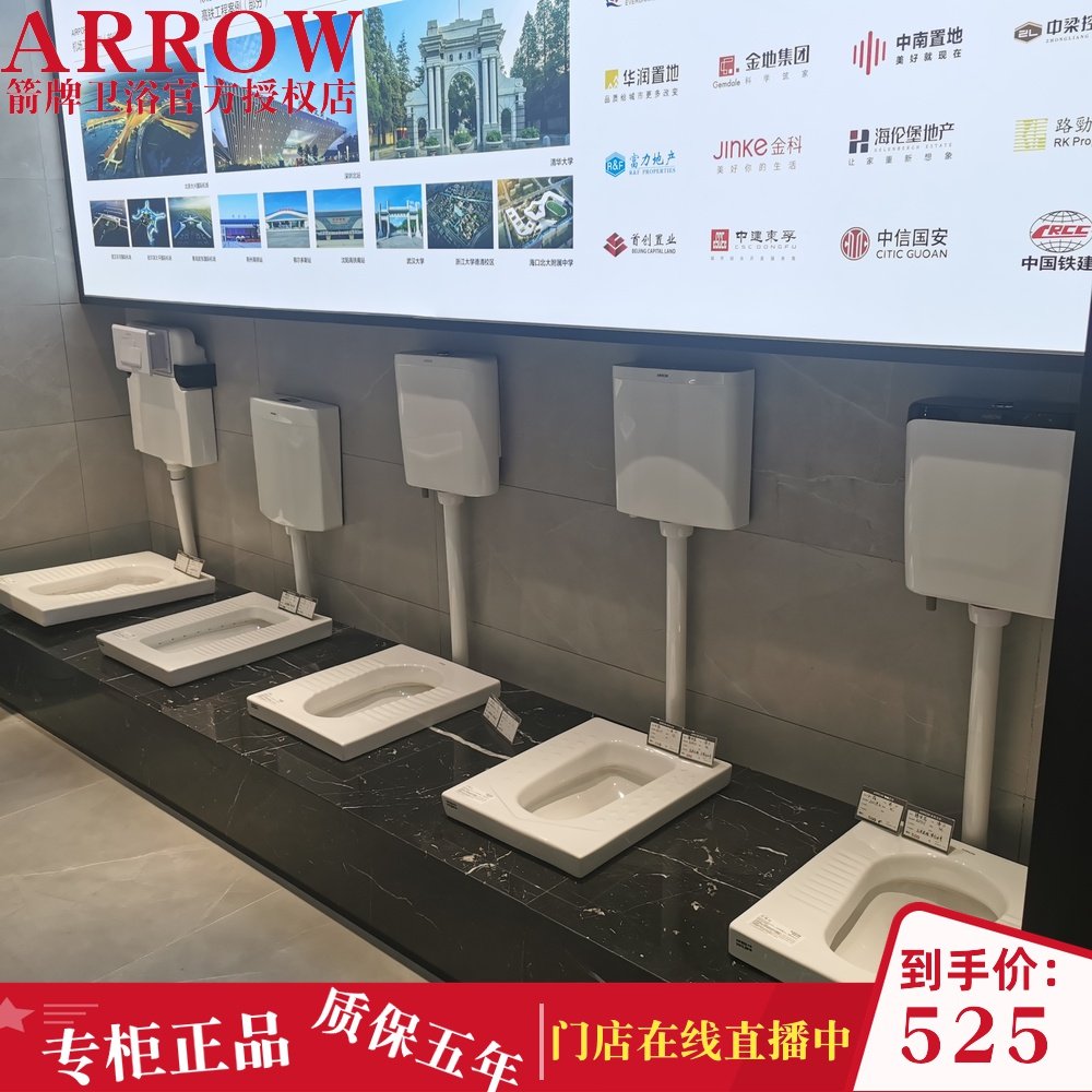 Wrigley squat toilet ultra-thin water storage bend household powder room squat toilet stool water tank set ALD507 5210