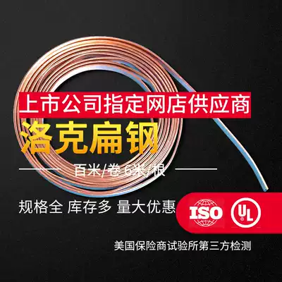 Locke copper clad steel grounding grounding flat steel copper-plated flat steel pure copper flat steel flat steel flat strip copper clad steel flat wire