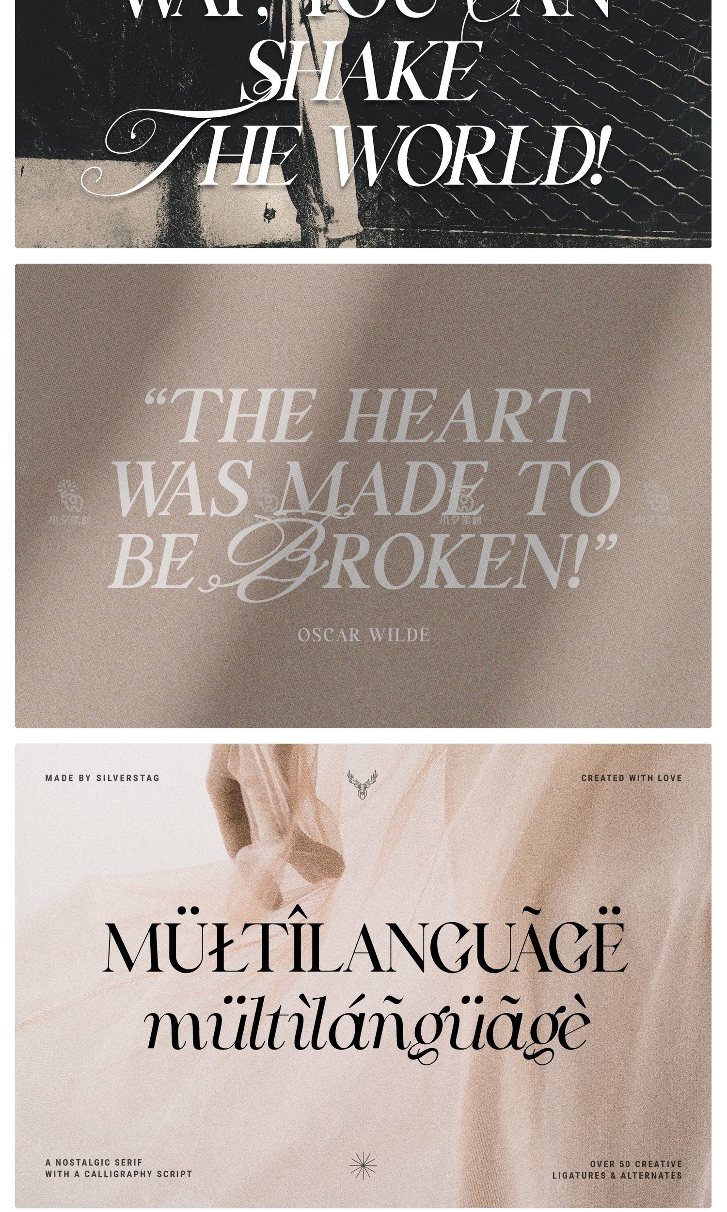 图片[8]-高级优雅欧式英伦花体衬线LOGO海报排版杂志标题英文字体安装包-cg男孩