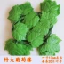Mô phỏng cây nho lá nhựa hoa nho lớn lá xanh cây leo trang trí lá cây nho trần hoa giả cây xanh - Hoa nhân tạo / Cây / Trái cây hoa tulip giả Hoa nhân tạo / Cây / Trái cây