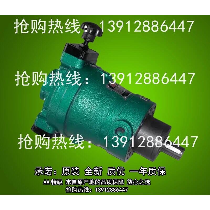 10SCY  40SCY 25SCY 80SCY 63SCY 100SCY 160SCY14-1B轴向 柱塞泵