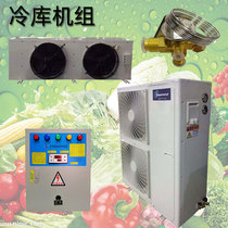 Direct cold storage complete set of equipment Emerson refrigeration all-in-one machine small fruits and vegetables fresh 4 external unit