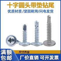 410 stainless steel large flat head drill tail galvanized with pad self-tapping screw M4 2M4 8 blue zinc self-drilling nail dovetail wire