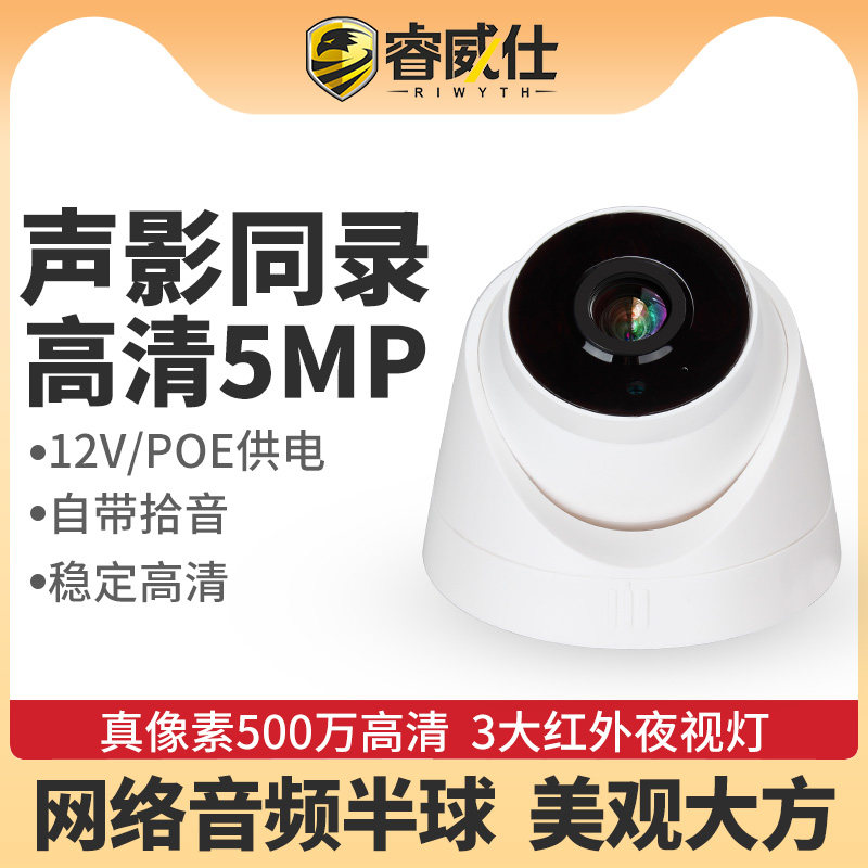 Wise See Hemisphere Network Digital POE Camera With Audio Wide Angle Night Vision High Definition Wired Infrared Monitor
