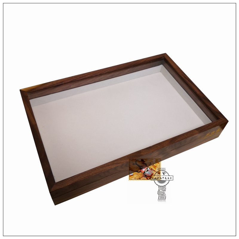 Black and White Frame (Black Walnut Solid Wood) Specimen Box [Beetles, Butterflies, Shells, Gemstones] Pack 