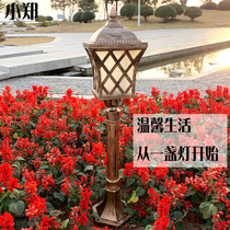 Grass Terrace Light Outdoor Waterproof Eu Style Garden Courtyard House Light District Villa Home Landscape Terrace Lamp Mains Mains Light