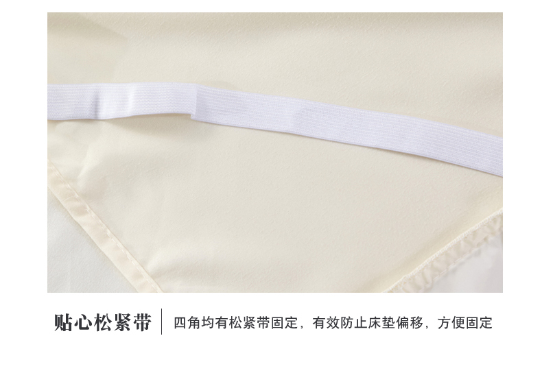 Summer giường ren phong cách váy bedspread mảnh duy nhất của phi trượt nệm bảo vệ công chúa gió ren giường áo khoác 1.5m1.8 mét - Váy Petti giường váy