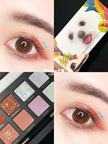 Perfect diary animal eyeshadow twelve color red fox jade koi puppy dog cat large earth-colored eye disk
